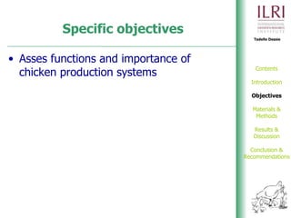 Phenotypic and genetic characterization of local chicken ecotypes in Ethiopia 