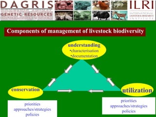 Delivering systematic information on indigenous farm animal genetic resources  of  developing countries: The concept of Country DAGRIS