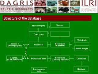Delivering systematic information on indigenous farm animal genetic resources  of  developing countries: The concept of Country DAGRIS