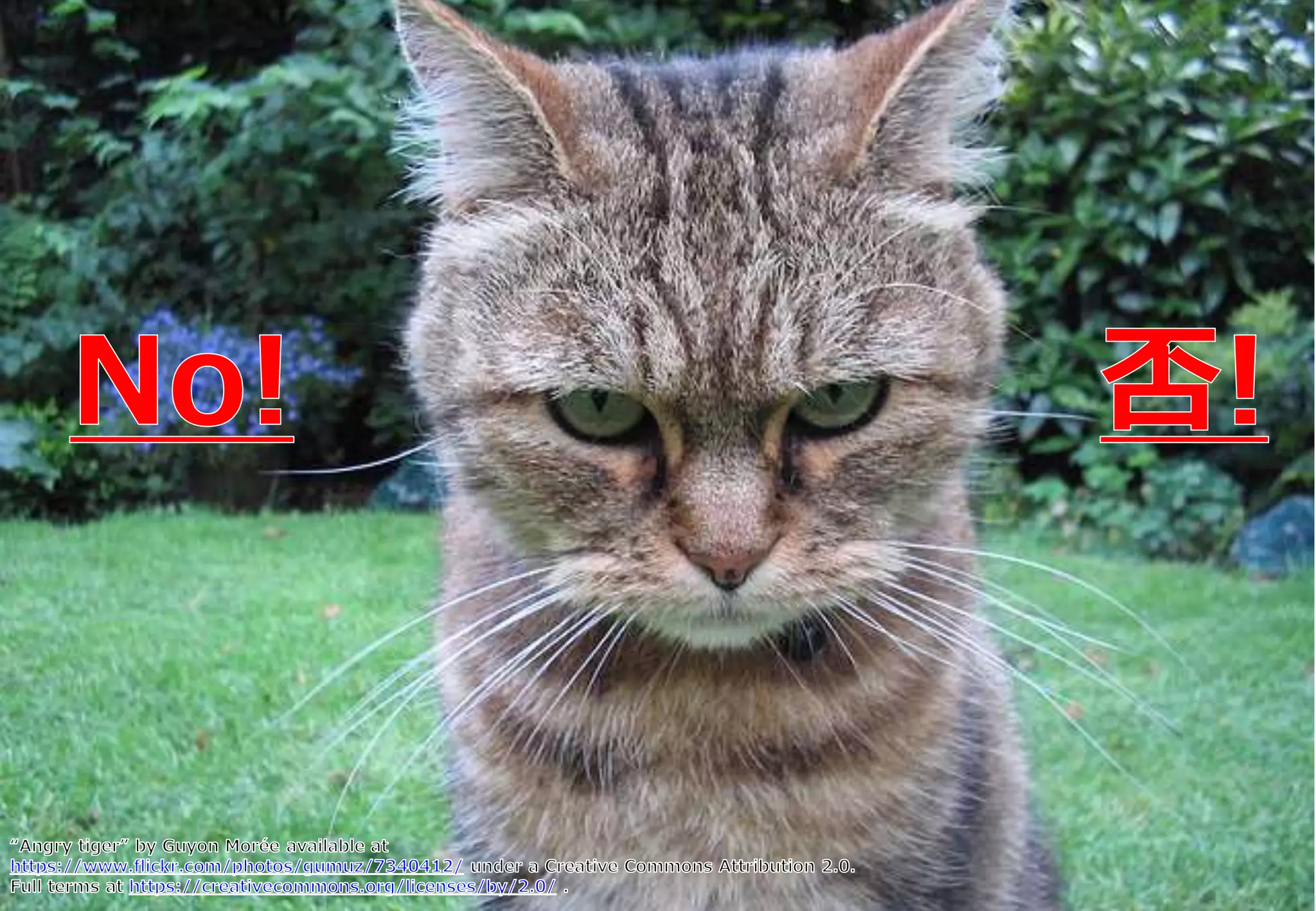 Copyright © 2015 NTT DATA Corporation OpenStack Summit | Tokyo 2015 8
 