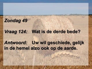 Zondag 49Vraag 124: 	Wat is de derde bede?Antwoord: 	Uw wil geschiede, gelijk in de hemel alzo ook op de aarde. 