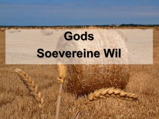 Gods Soevereine Wil