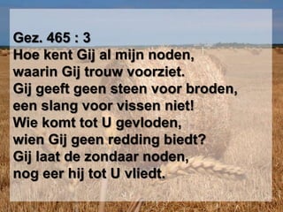 Gez. 465 : 3Hoe kent Gij al mijn noden,waarin Gij trouw voorziet.Gij geeft geen steen voor broden,een slang voor vissen niet!Wie komt tot U gevloden,wien Gij geen redding biedt?Gij laat de zondaar noden,nog eer hij tot U vliedt.