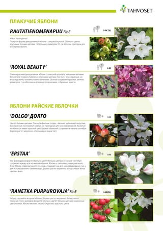 ПЛАКУЧИЕ ЯБЛОНИ
ЯБЛОНИ РАЙСКИЕ ЯБЛОЧКИ
RAUTATIENOMENAPUU FinE
Malus ’Hyvingiensis’
Плакучая форма декоративной яблони с широкой кроной. Обильно цветет
крупными белыми цветами. Небольшие, размером 3-5 см яблочки пригодны для
консервирования.
I–IV (V)
’Royal Beauty’
Очень красивая декоративная яблоня с плакучей кроной и изящными ветками.
Весной вся покрыта пурпурно-красными цветами. Листья – темнокрасные, но
впоследствии становятся почти зелеными. Осенью созревают красные, мелкие,
диаметром 1 см яблочки на длинных плодоножках, собранные в кисти.
I–III
’Dolgo’ Долго
Цветет белыми цветами. Очень эффектные плоды – мелкие, удлиненно-округлые,
яркокрасные, кисловатые на вкус, но пригодные для консервирования. Выжатый
из яблок сок имеет красный цвет. Урожай обильный, созревает в начале сентября.
Дерево растет медленно и большим не вырастает.
I–V
’Erstaa’
Уже в молодом возрасте обильно цветет белыми цветами. В начале сентября
созревают яркие, красно-желтые яблоки. Яблоки – овальные, размером около
3 см. Яблоки содержат много пектина и подходят как для консервирования, так и
для использования в свежем виде. Дерево растет медленно, концы гибких веток
свисают вниз.
I–V
’Ranetka Purpurovaja’ FinE
Гибрид садовой и ягодной яблонь. Дерево растет медленно. Ветки слегка
плакучие. Уже в молодом возрасте обильно цветет белыми цветами на длинных
цветоножках. Яблоки мелкие, плоско-округлые, красного цвета.
I–III(IV)
 