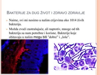 BAKTERIJE ZA DUG ŽIVOT I ZDRAVO ZDRAVLJE 
 Naime, svi mi nosimo u našim crijevima oko 1014 živih 
bakterija. 
 Možda zvuči zastrašujuće, ali naprotiv, mnoge od tih 
bakterija su nam potrebne i korisne. Bakterije koje 
obitavaju u našim mogu biti “dobre” i „loše”. 
 