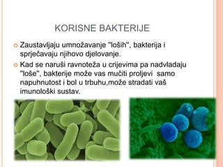 KORISNE BAKTERIJE 
 Zaustavljaju umnožavanje ''loših'', bakterija i 
sprječavaju njihovo djelovanje. 
 Kad se naruši ravnoteža u crijevima pa nadvladaju 
''loše'', bakterije može vas mučiti proljevi samo 
napuhnutost i bol u trbuhu,može stradati vaš 
imunološki sustav. 
 