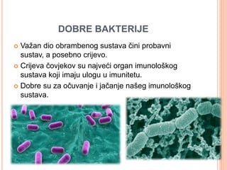 DOBRE BAKTERIJE 
 Važan dio obrambenog sustava čini probavni 
sustav, a posebno crijevo. 
 Crijeva čovjekov su najveći organ imunološkog 
sustava koji imaju ulogu u imunitetu. 
 Dobre su za očuvanje i jačanje našeg imunološkog 
sustava. 
 