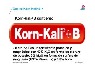 Datum (JJMMTT), Titel, Autor/Zeichen K+S Gruppe
1
Korn-Kali+B contiene:
ESTA®
Kieserita
Muriate of
Potash
(MOP)
Borax
Que es Korn-Kali+B ?
- Korn-Kali es un fertilizante potásico y
magnésico con 40% K2O en forma de cloruro
de potasio, 6% MgO en forma de sulfato de
magnesio (ESTA Kieserita) y 0.8% boro.
 
