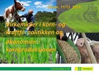 Hvam, 11/12 2014 
Virkemidler i korn- og 
kraftfôrpolitikken og 
økonomien i 
kornproduksjonen 
 