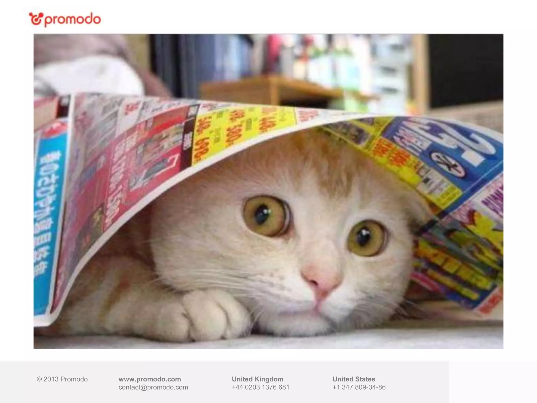 © 2013 Promodo www.promodo.com
contact@promodo.com
United Kingdom
+44 0203 1376 681
United States
+1 347 809-34-86
 
