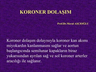 KORONER DOLAŞIM

                             Prof.Dr.Meral AŞÇIOĞLU




Koroner dolaşım dolayısıyla koroner kan akımı
miyokardın kanlanmasını sağlar ve aortun
başlangıcında semilunar kapakların biraz
yukarısından ayrılan sağ ve sol koroner arterler
aracılığı ile sağlanır.
 