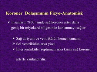 Koroner Dolaşımının Fizyo-Anatomisi:
 İnsanların %50’ sinde sağ koroner arter daha
  geniş bir miyokard bölgesinde kanlanmayı sağlar:

    Sağ atriyum ve ventrikülün hemen tamamı
    Sol ventrikülün arka yüzü
    İnterventriküler septumun arka kısmı sağ koroner

     arterle kanlandırılır.
 