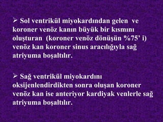  Sol ventrikül miyokardından gelen ve
koroner venöz kanın büyük bir kısmını
oluşturan (koroner venöz dönüşün %75’ i)
venöz kan koroner sinus aracılığıyla sağ
atriyuma boşaltılır.

 Sağ ventrikül miyokardını
oksijenlendirdikten sonra oluşan koroner
venöz kan ise anteriyor kardiyak venlerle sağ
atriyuma boşaltılır.
 