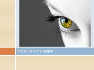 das Auge – die Augen 
 