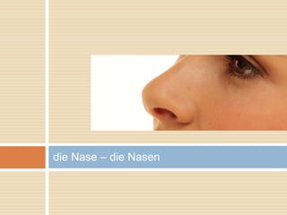 die Nase – die Nasen 
 
