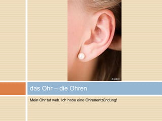 das Ohr – die Ohren 
Mein Ohr tut weh. Ich habe eine Ohrenentzündung! 
 