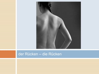 der Rücken – die Rücken 
 