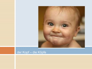 der Kopf – die Köpfe 
 