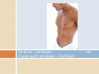 die Brust – die Brüste bei 
Frauen auch: der Busen – die Busen 
 