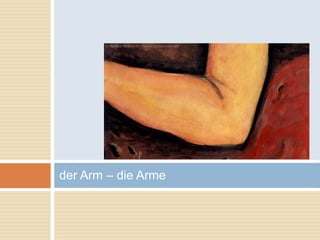 der Arm – die Arme 
 