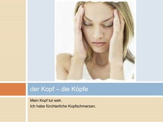 der Kopf – die Köpfe 
Mein Kopf tut weh. 
Ich habe fürchterliche Kopfschmerzen. 
 