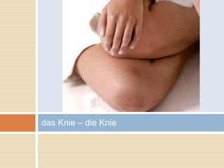 das Knie – die Knie 
 
