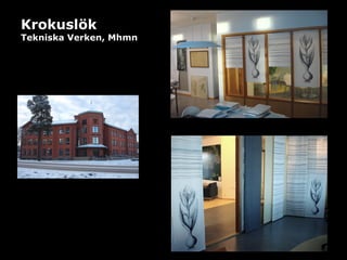 Krokuslök   Tekniska Verken, Mhmn 