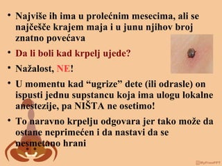 
Najviše ih ima u prolećnim mesecima, ali se
najčešče krajem maja i u junu njihov broj
znatno povećava

Da li boli kad krpelj ujede?

Nažalost, NE!

U momentu kad “ugrize” dete (ili odrasle) on
ispusti jednu supstancu koja ima ulogu lokalne
anestezije, pa NIŠTA ne osetimo!

To naravno krpelju odgovara jer tako može da
ostane neprimećen i da nastavi da se
nesmetano hrani
 