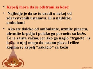 
Krpelj mora da se odstrani sa kože!

Najbolje je da se to uradi u nekoj od
zdravstvenih ustanova, ili u najbližoj
ambulanti

Ako ste daleko od ambulante, uzmite pincetu,
uhvatite krpelja i polako ga povucite sa kože.
To je zaista važno, jer ako ga naglo “trgnete” iz
kože, u njoj mogu da ostanu glava i rilice
kojima se krpelj “zakačio” za kožu
 