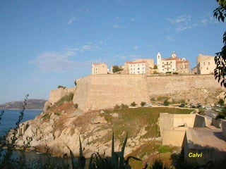 Calvi  