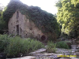 Le Moulin de Zalana 