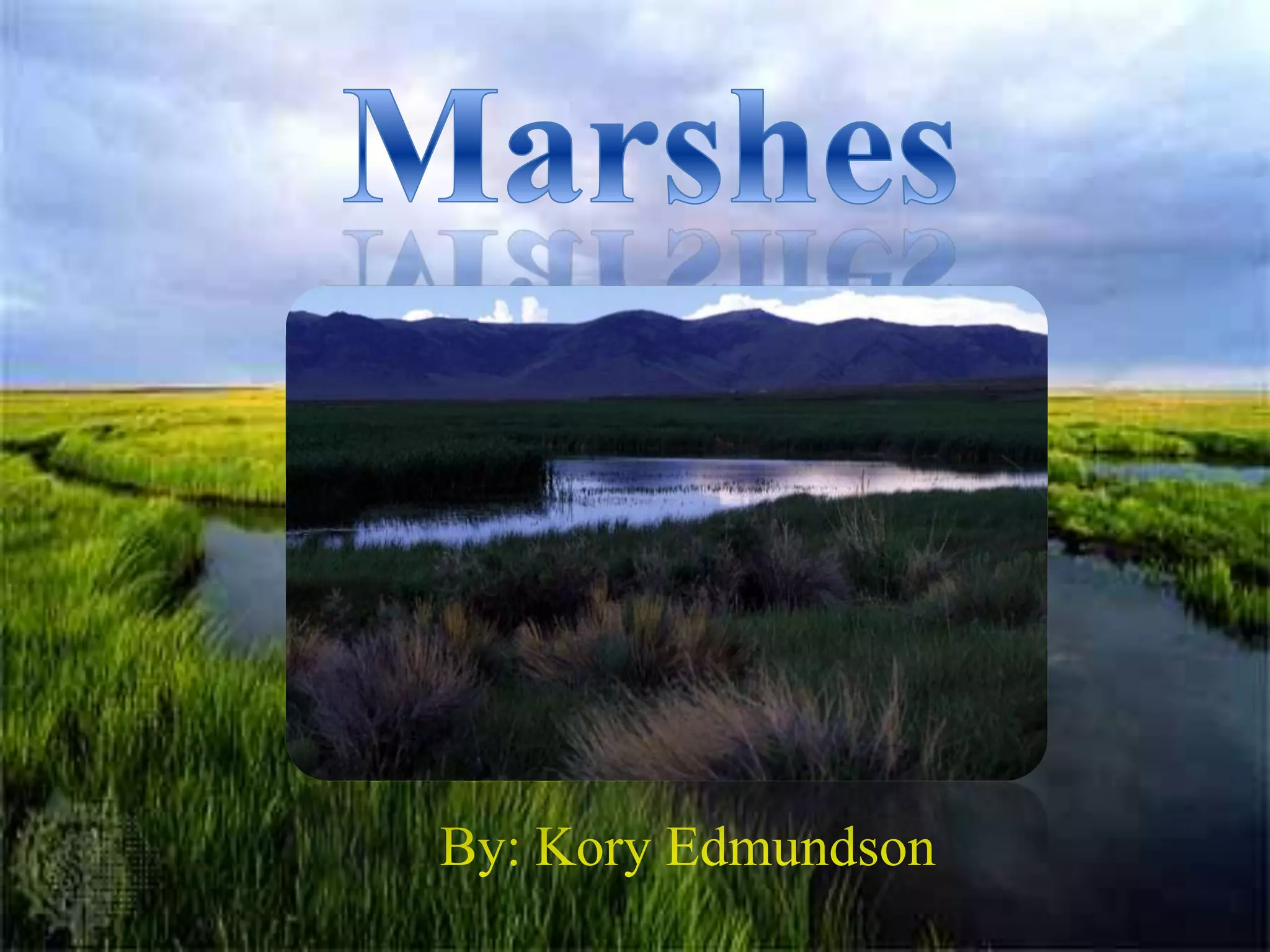 MarshesBy: Kory Edmundson