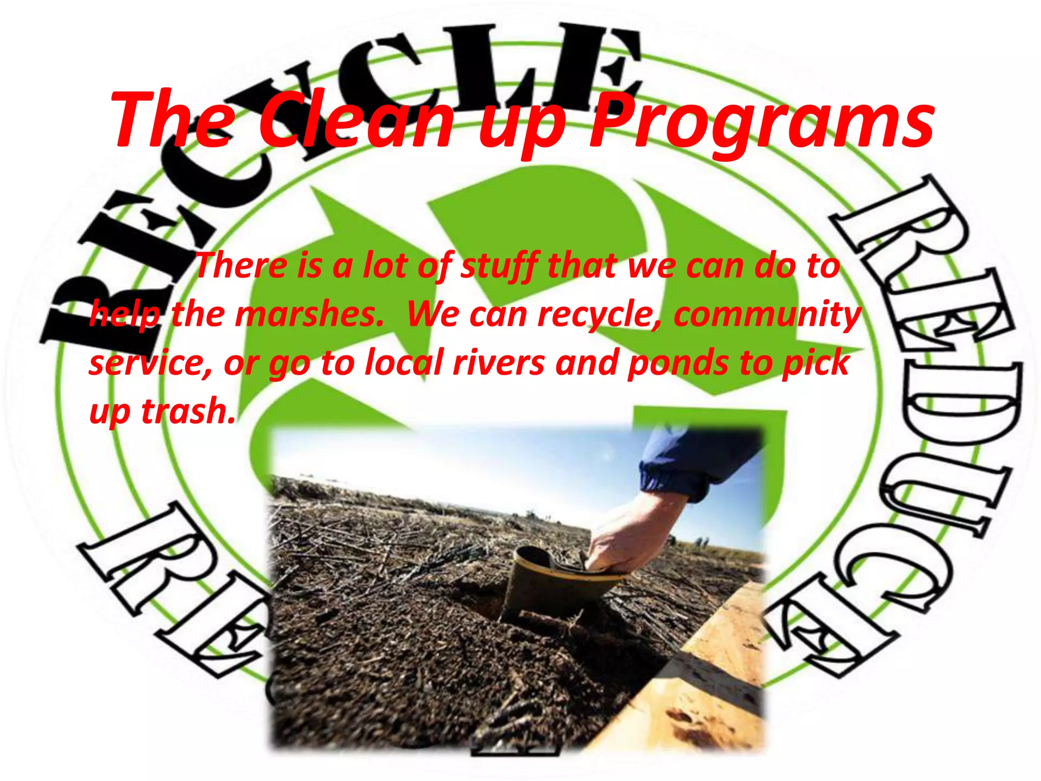 The Clean up Programs There is a lot of stuff that we can do to help the marshes.  We can recycle, community service, or go to local rivers and ponds to pick up trash.   