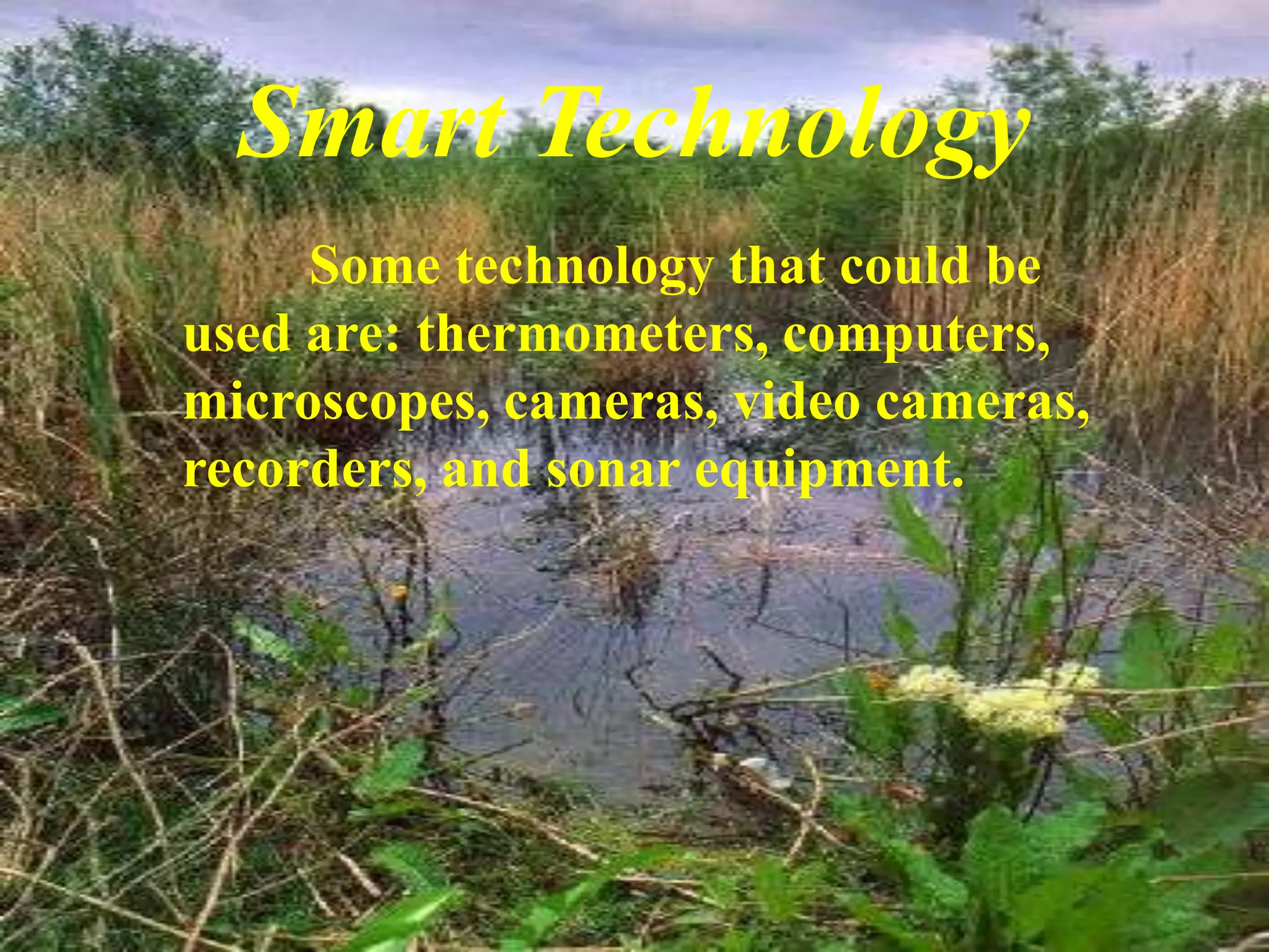 Smart Technology	Some technology that could be used are: thermometers, computers, microscopes, cameras, video cameras, recorders, and sonar equipment.     