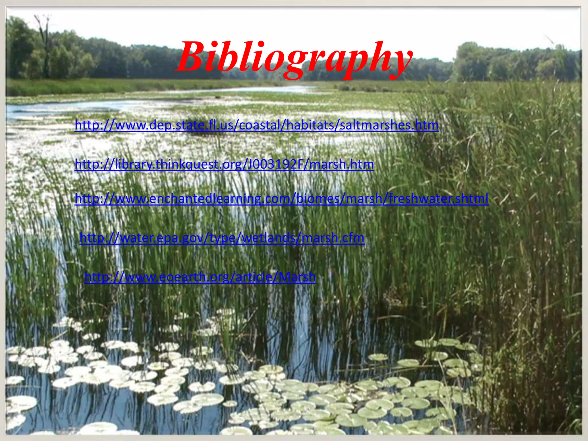 Bibliographyhttp://www.dep.state.fl.us/coastal/habitats/saltmarshes.htmhttp://library.thinkquest.org/J003192F/marsh.htmhttp://www.enchantedlearning.com/biomes/marsh/freshwater.shtmlhttp://water.epa.gov/type/wetlands/marsh.cfmhttp://www.eoearth.org/article/Marsh