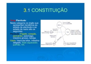 33 11 CONSTITUIÇÃOCONSTITUIÇÃO33.1.1 CONSTITUIÇÃOCONSTITUIÇÃO
Yang Plenitude:
Nesta categoria os órgão que
apresentam tendência aoapresentam tendência ao
estado de plenitude e ao
estado de vazio são os
seguintes:segu tes
Plenitude: Fígado, coração,
pericárdio, estomago,
intestino grosso, bexiga.
Vazio: Vesícula biliar, intestino
delgado, triplo aquecedor,
pulmão, rim.
 