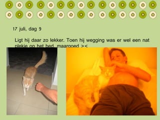 17 juli, dag 9 Ligt hij daar zo lekker. Toen hij wegging was er wel een nat plekje op het bed, maargoed >< 