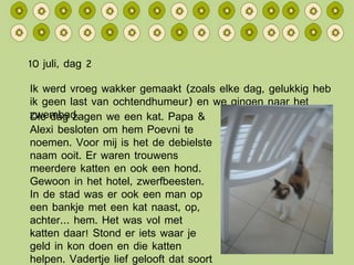 10 juli, dag 2 Ik werd vroeg wakker gemaakt (zoals elke dag, gelukkig heb ik geen last van ochtendhumeur) en we gingen naar het zwembad. Die dag zagen we een kat. Papa & Alexi besloten om hem Poevni te noemen. Voor mij is het de debielste naam ooit. Er waren trouwens meerdere katten en ook een hond. Gewoon in het hotel, zwerfbeesten. In de stad was er ook een man op een bankje met een kat naast, op, achter… hem. Het was vol met katten daar! Stond er iets waar je geld in kon doen en die katten helpen. Vadertje lief gelooft dat soort dingen nooit, helaas. 