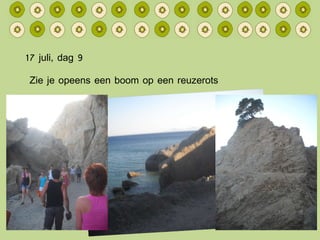 17 juli, dag 9 Zie je opeens een boom op een reuzerots 