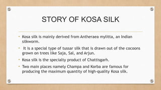 STORY OF KOSA SILK
• Kosa silk is mainly derived from Antheraea mylitta, an Indian
silkworm.
• It is a special type of tus...