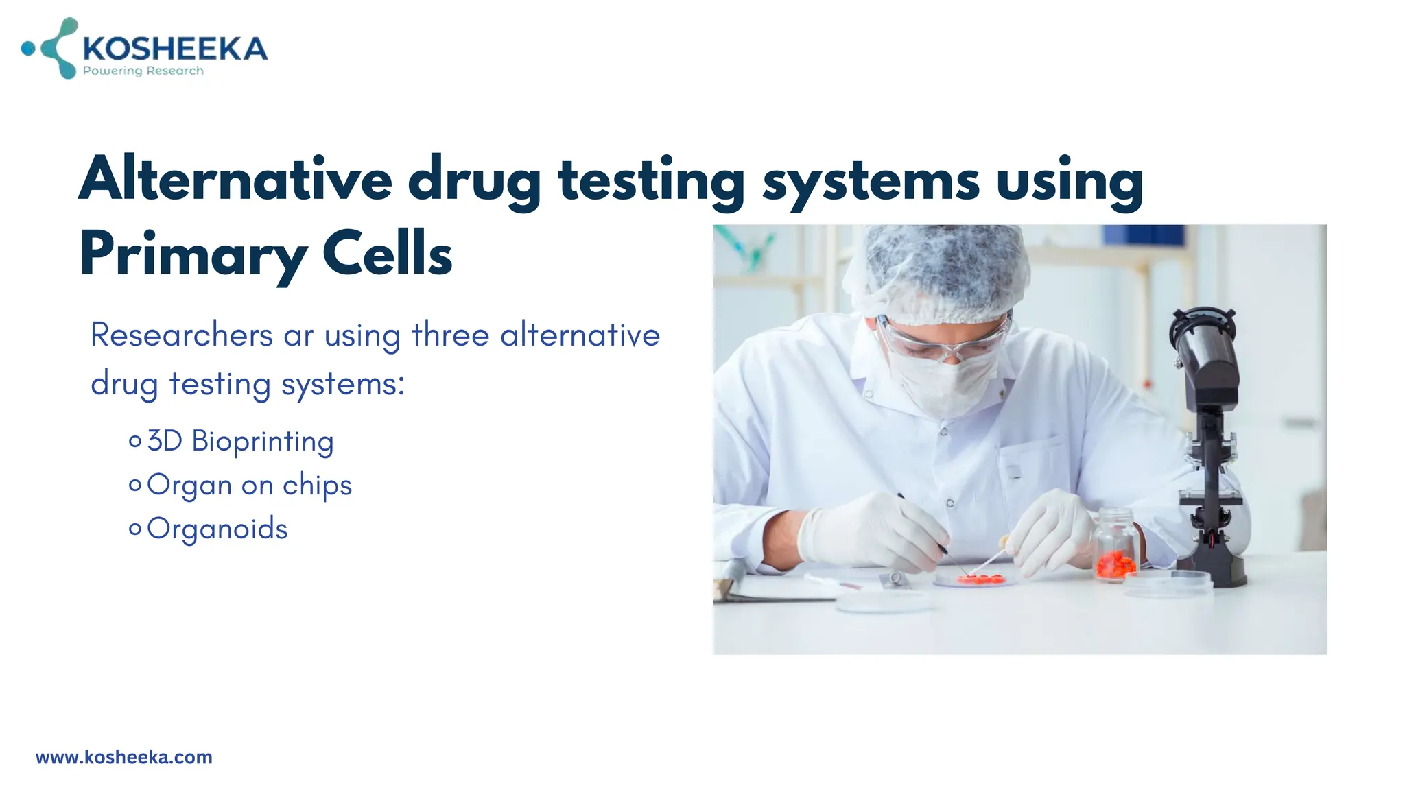 Use of Primary Cells in Cell Culture and Drug Discovery | PPTX