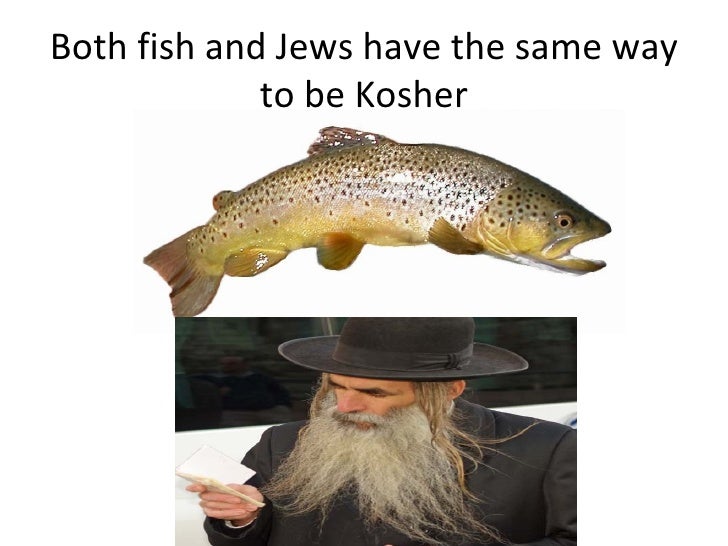 Kosher fish and kosher people