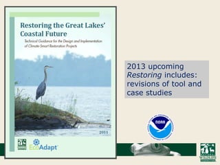 2013 upcoming
Restoring includes:
revisions of tool and
case studies

 