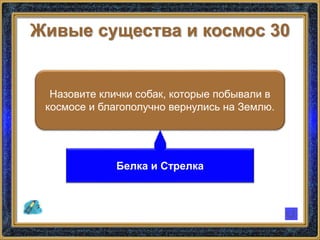 Живые существа и космос 30
Назовите клички собак, которые побывали в
космосе и благополучно вернулись на Землю.
Белка и Стрелка
 