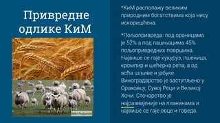 Kosovo i Metohija - Dimitra JovanovicIII3 | PPT