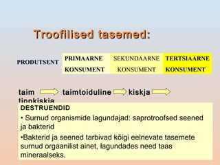 Troofilised tasemed:Troofilised tasemed:
PRODUTSENTPRODUTSENT
PRIMAARNEPRIMAARNE
KONSUMENTKONSUMENT
SEKUNDAARNESEKUNDAARNE
KONSUMENTKONSUMENT
TERTSIAARNETERTSIAARNE
KONSUMENTKONSUMENT
taimtaim taimtoidulinetaimtoiduline kiskjakiskja
tippkiskjatippkiskja
DESTRUENDIDDESTRUENDID
• Surnud organismide lagundajad: saprotroofsed seened
ja bakterid
•Bakterid ja seened tarbivad kõigi eelnevate tasemete
surnud orgaanilist ainet, lagundades need taas
mineraalseks.
 