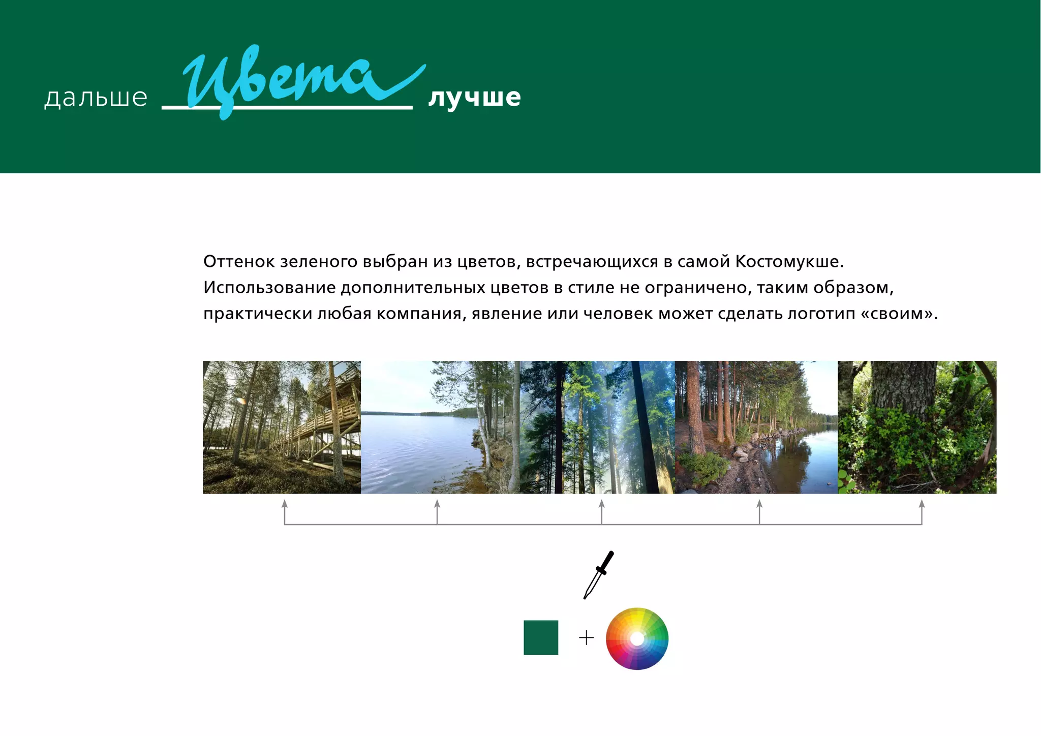 Оттенок зеленого выбран из цветов, встречающихся в самой Костомукше.
Использование дополнительных цветов в стиле не ограничено, таким образом,
практически любая компания, явление или человек может сделать логотип «своим».
 