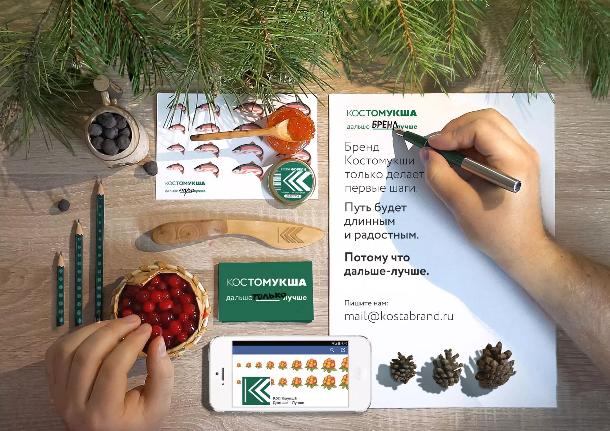 Костомукша. Дальше-лучше. Презентация бренда