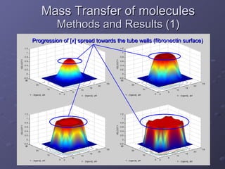 Mass Transfer of molecules  Methods and Results (1) Finite Element Method: c[x, y, z, 0]=0 c[x, y, 0, t]=c o Convection – Diffusion Equation Boundary Conditions: Element Node 1 Y X 2 2 2 2 y x z t        D  c  c   v y c   y=+b  x=+a y c    0 y c   y=-b  K on R u C s  - K off R b SD N A Progression of [x] spread towards the tube walls (fibronectin surface) 
