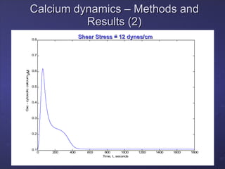 Calcium dynamics – Methods and Results (2) Na/Ca Exchanger R G PLC PIP2 DAG IP3 IP3R ER agonist Ca 2+ Buffer ATPase Calcium channel Capacitative Calcium entry PKC Shear Stress = 12 dynes/cm μ M 